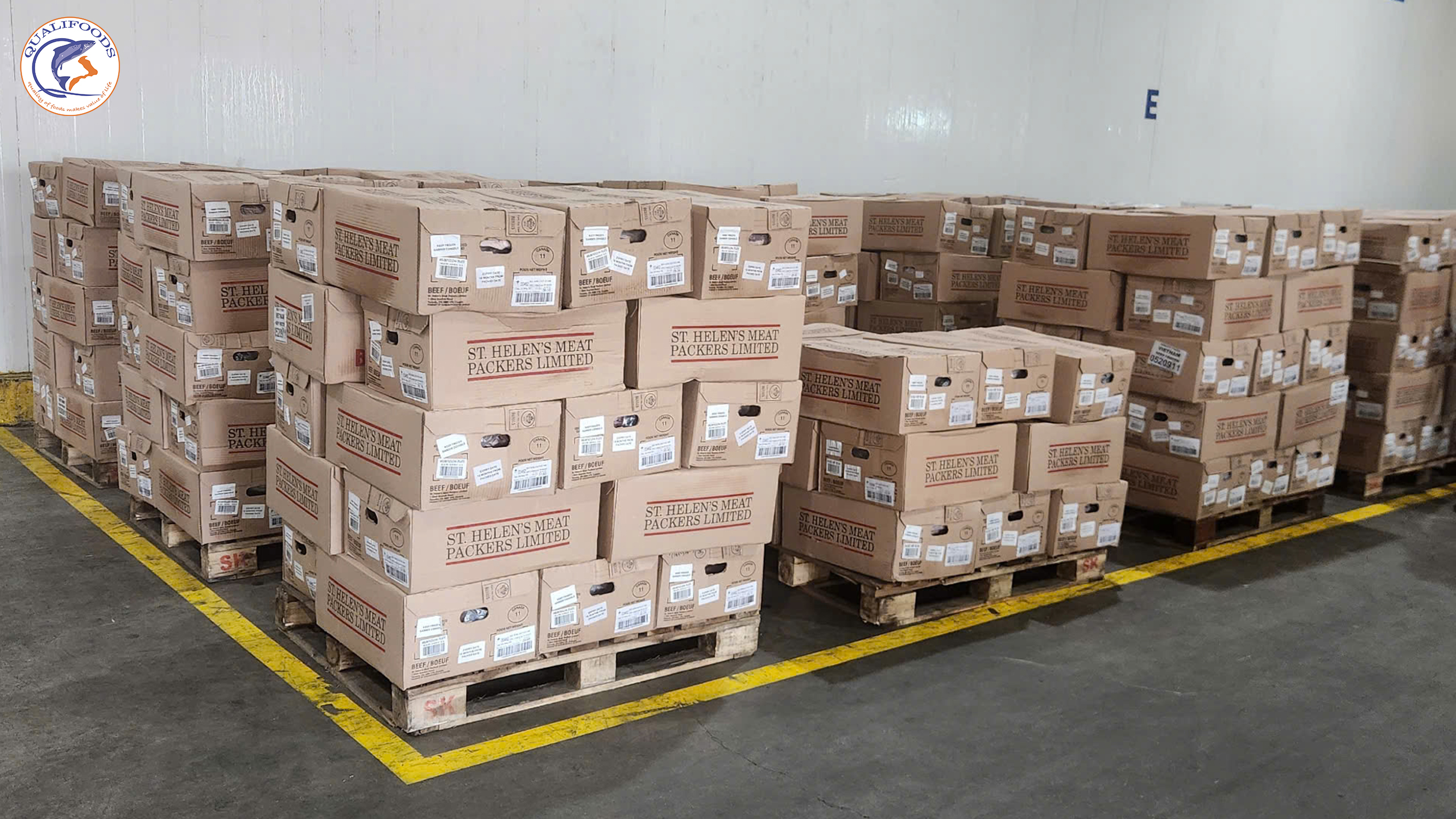 Công hàng bò st.helen’s Canada về ngập kho Qualifoods