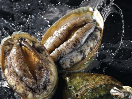 Qualifoods – Cam kết chất lượng bào ngư đông lạnh quốc tế