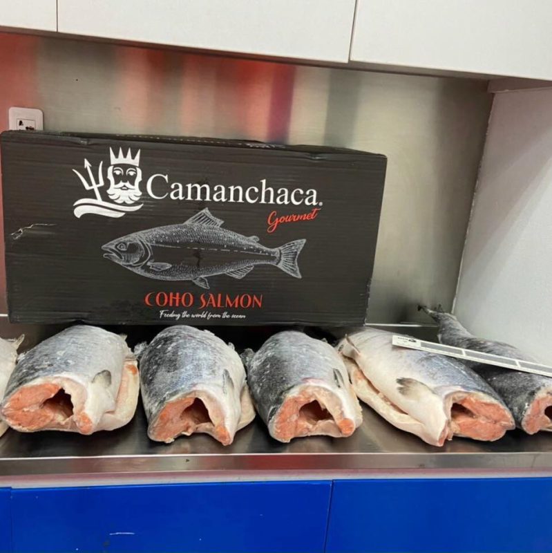 Cá hồi đông lạnh Coho