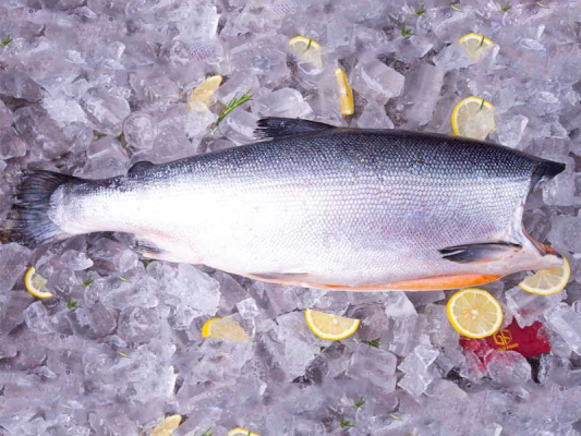 Hàm lượng chất dinh dưỡng có trong sản phẩm