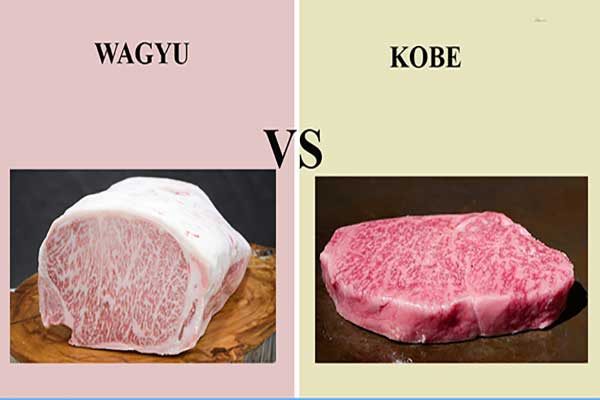 thịt bò wagyu và Kobe
