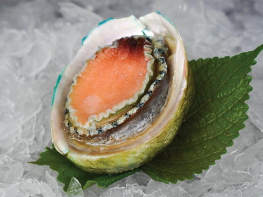 Giá trị dinh dưỡng của bào ngư đông lạnh