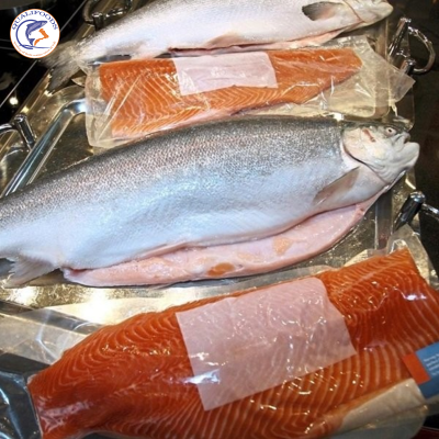 Phần bụng cá hồi Trout rất béo, thích hợp làm Sashimi, Sushi